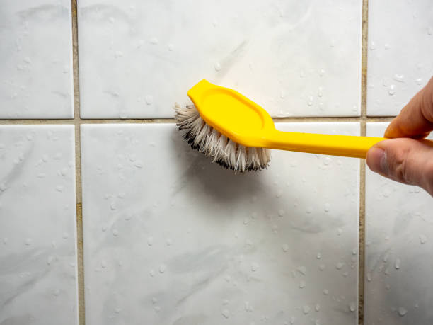Best Localized Mold Remediation (e.g., coastal areas, humid climates) in Ridgefield Park, NJ