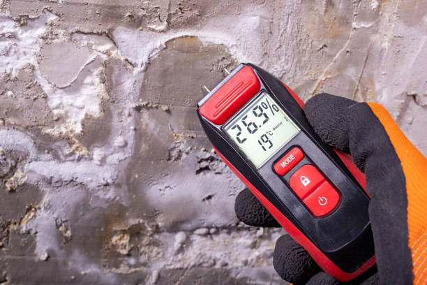 Professional Mold Remediation in Ridgefield Park, NJ